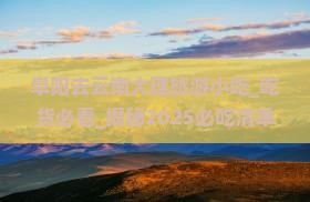 阜阳去云南大理旅游小吃