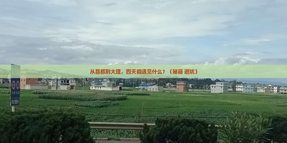 昌都去云南大理四日游