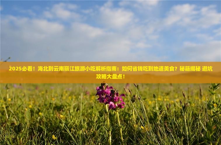 海北到云南丽江旅游小吃