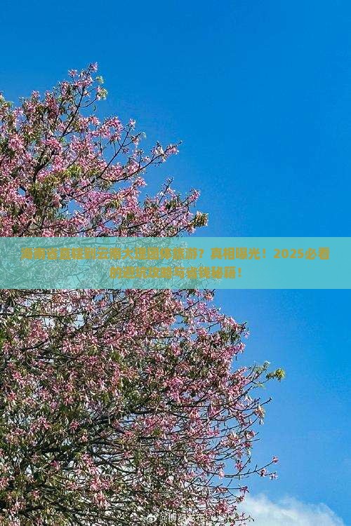海南省直辖到云南大理团体旅游