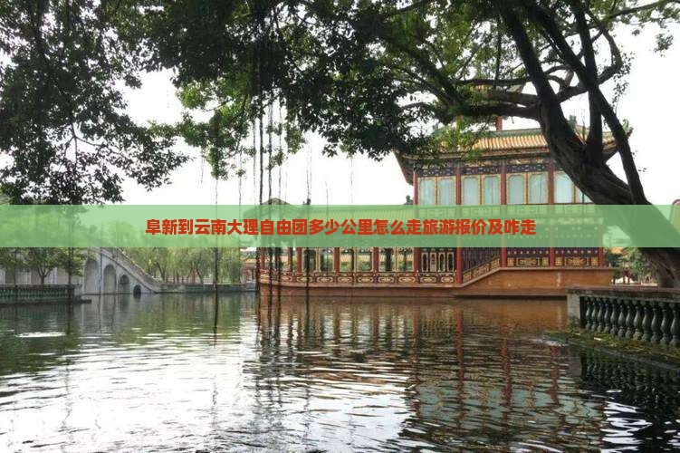阜新到云南大理自由团