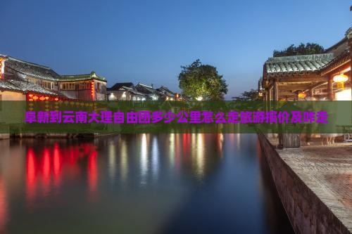 阜新到云南大理自由团