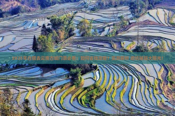 白银去云南古城门票
