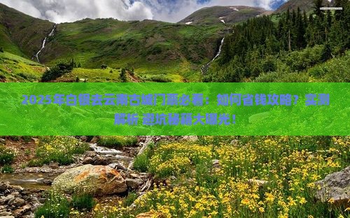 白银去云南古城门票