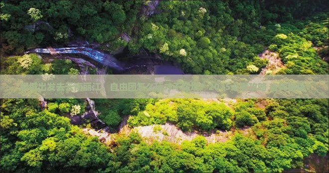 聊城到云南丽江自由团