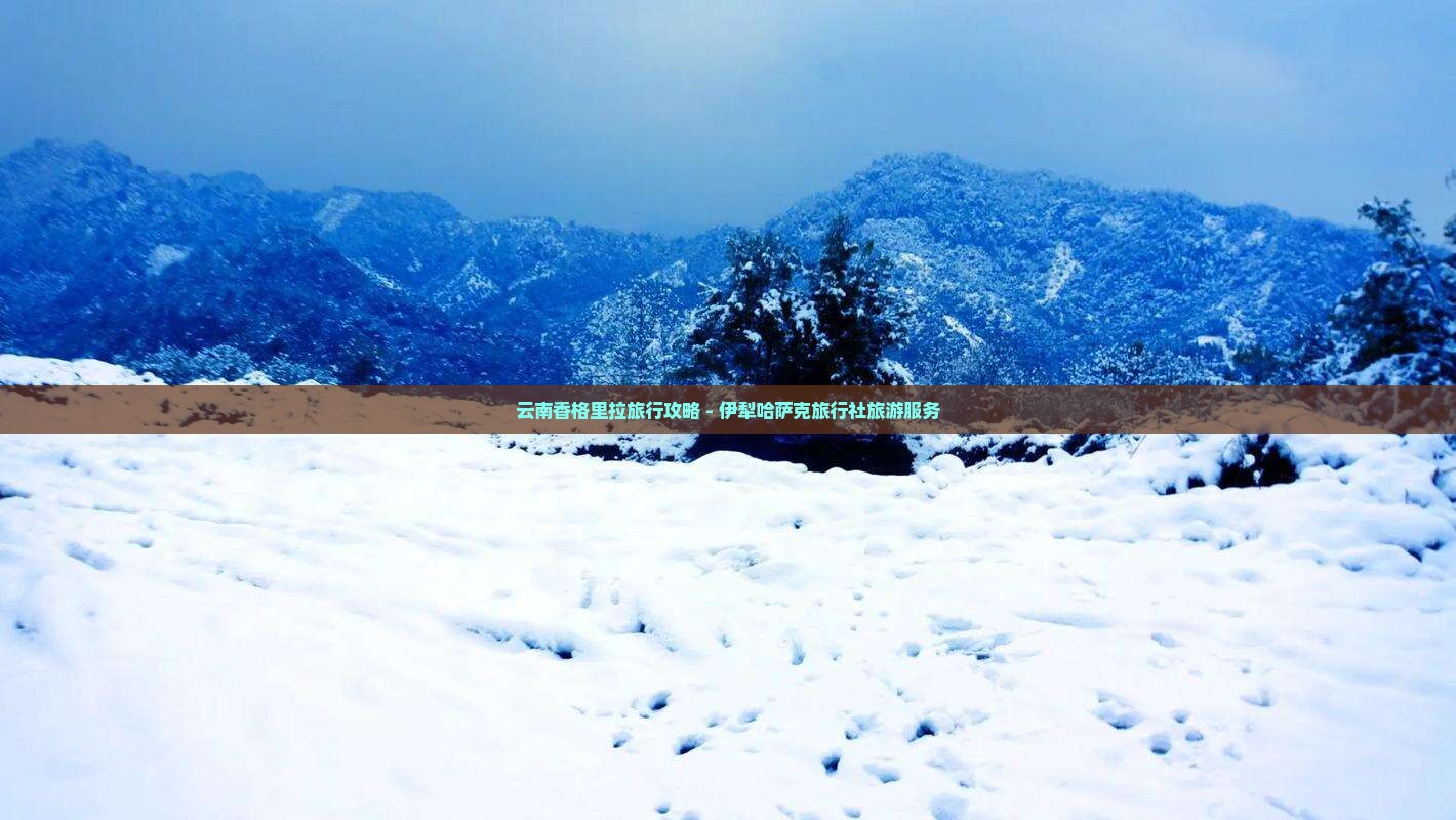 伊犁哈萨克去云南香格里拉旅行社