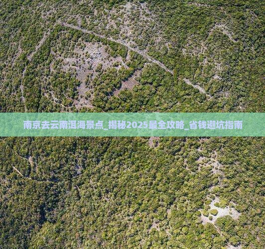 南京去云南洱海景点