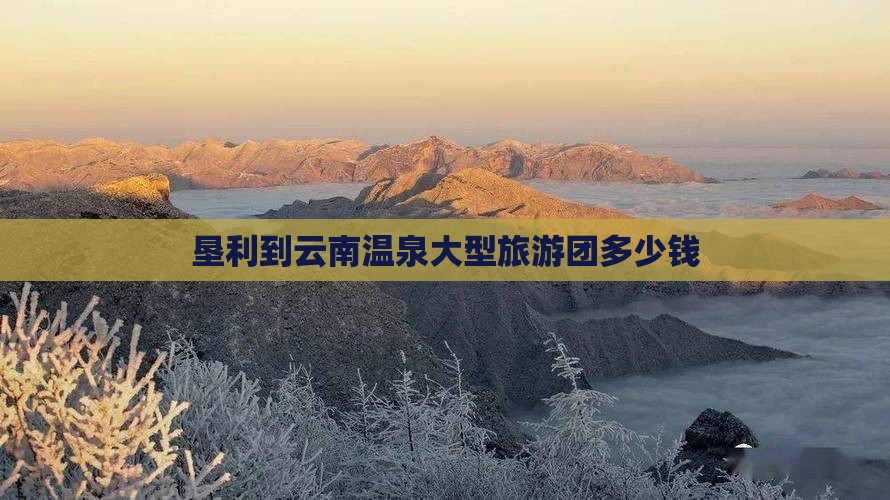 垦利到云南温泉大型旅游团