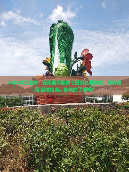 中卫到云南西双版纳七日游