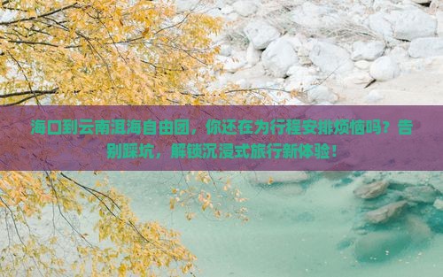 海口到云南洱海自由团