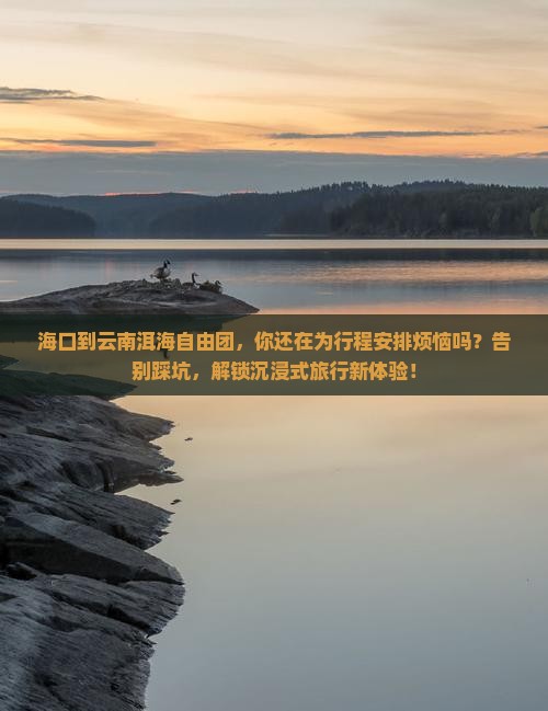 海口到云南洱海自由团