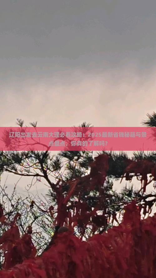 辽阳去云南大理景点
