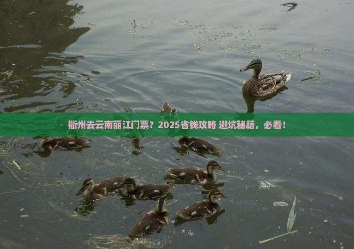 衢州去云南丽江门票