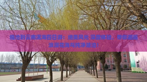 临沧到云南洱海四日游