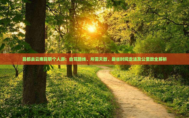 昌都去云南昆明个人游