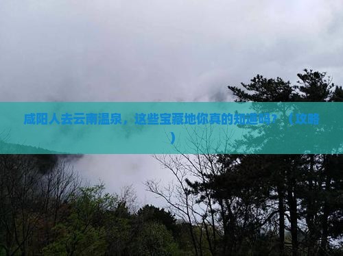 咸阳去云南温泉哪里玩