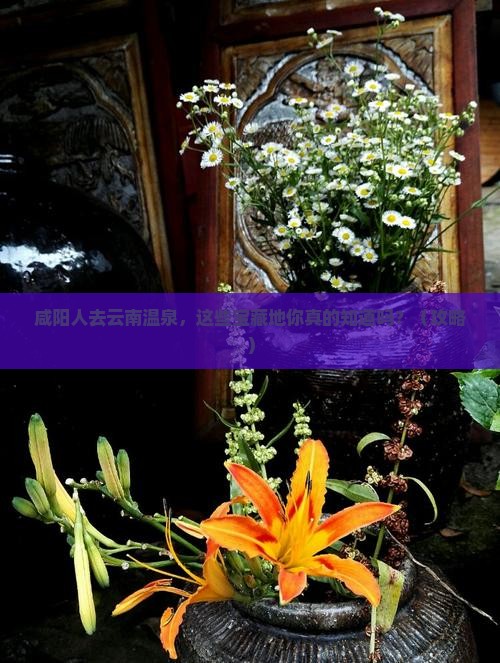 咸阳去云南温泉哪里玩