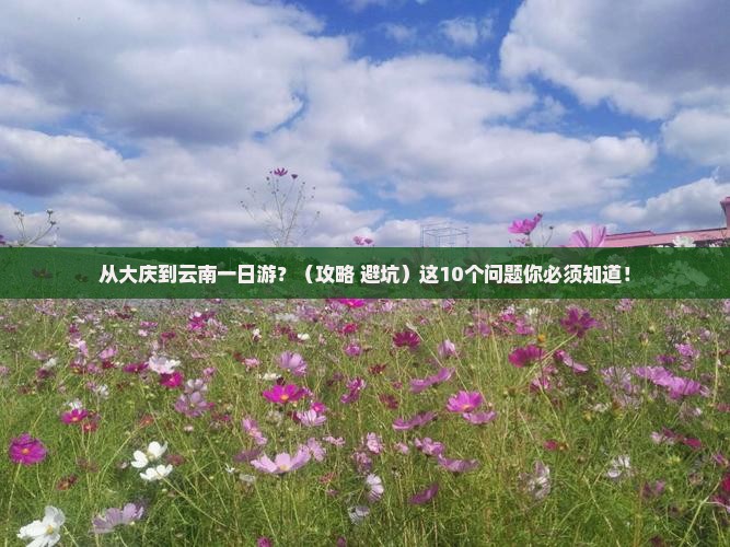 大庆到云南一日