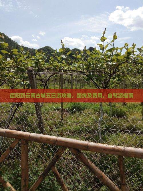 德阳到云南古城五日游