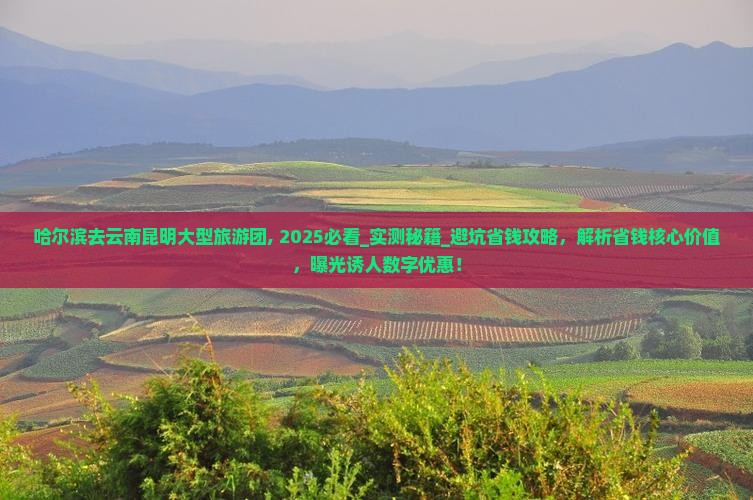 哈尔滨去云南昆明大型旅游团