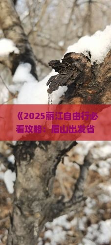 眉山去云南丽江自由团