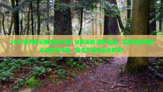 苏州到云南古城攻略