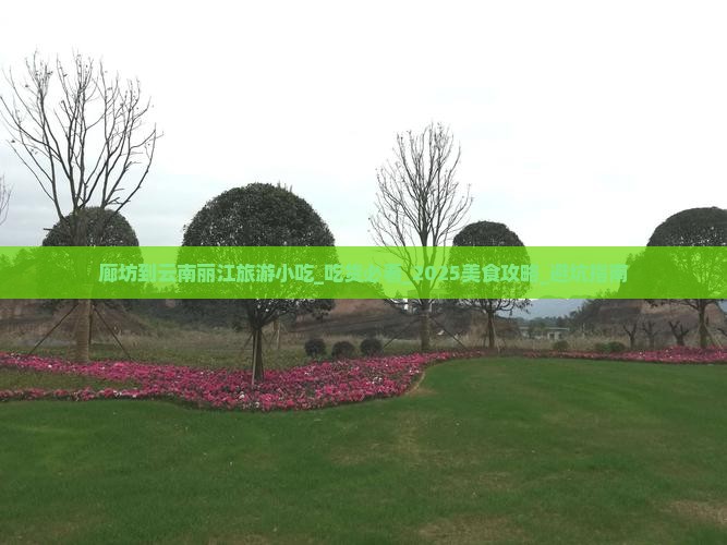 廊坊到云南丽江旅游小吃