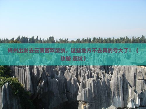 梅州到云南西双版纳必去地