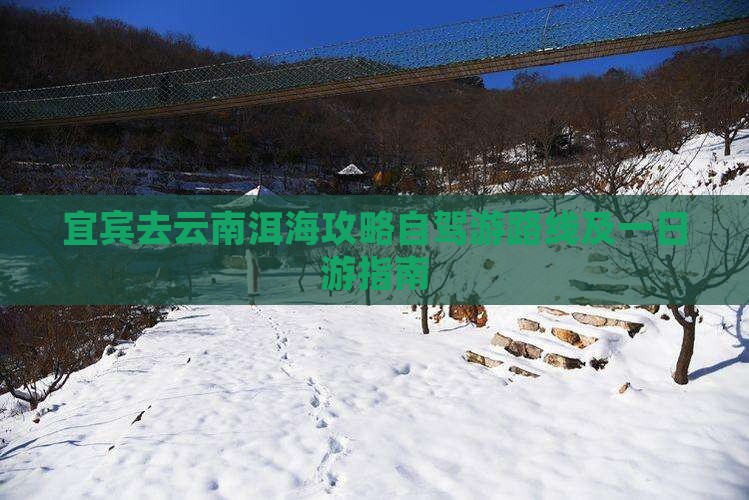 宜宾去云南洱海攻略