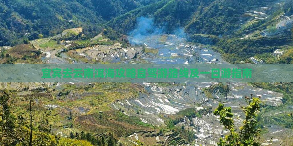宜宾去云南洱海攻略