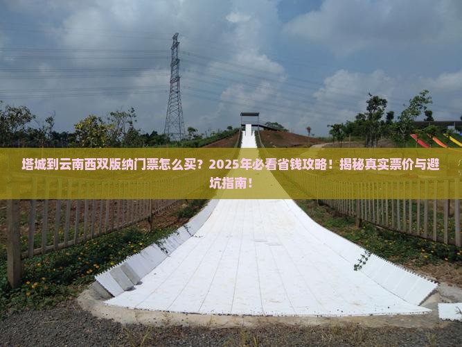 塔城到云南西双版纳门票