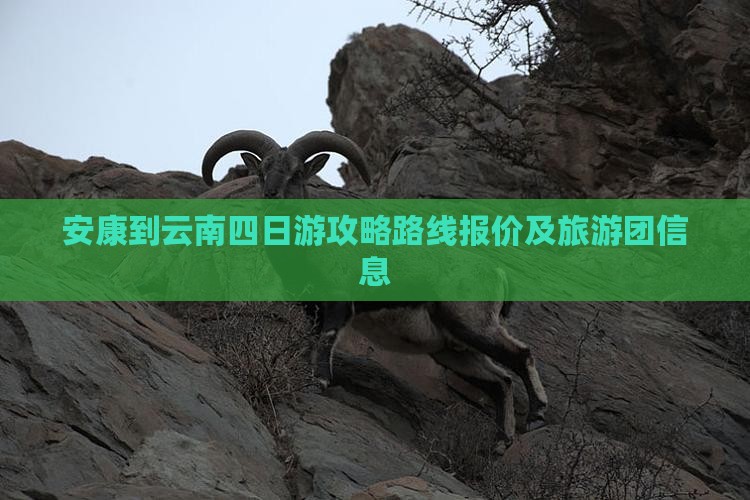 安康到云南四日游