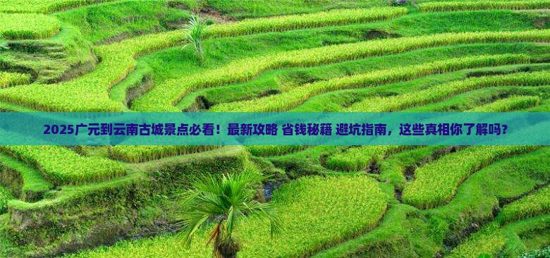 广元到云南古城景点