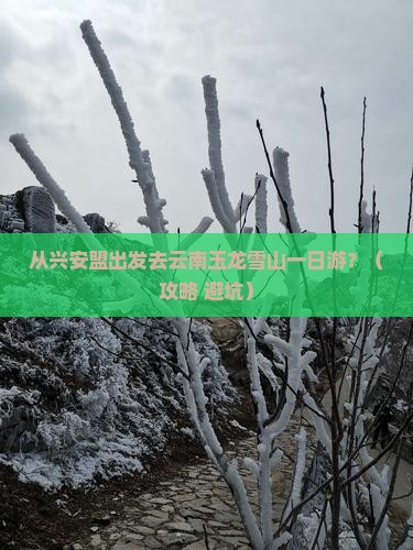 兴安盟去云南玉龙雪山一日