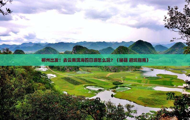 郴州去云南洱海四日游