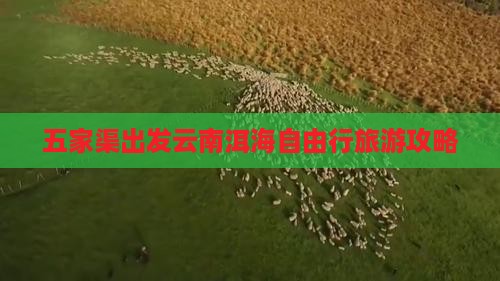 五家渠去云南洱海自由行