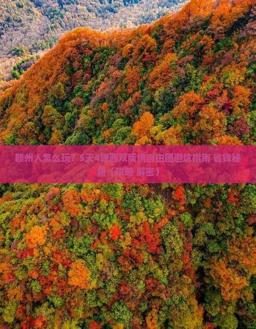 赣州去云南西双版纳自由团