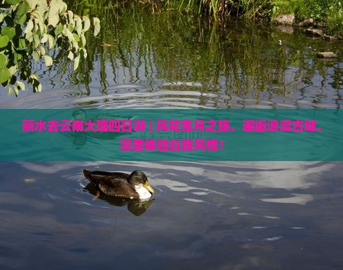 丽水去云南大理四日游