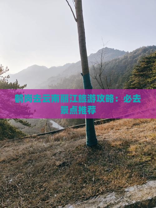 鹤岗去云南丽江必去地