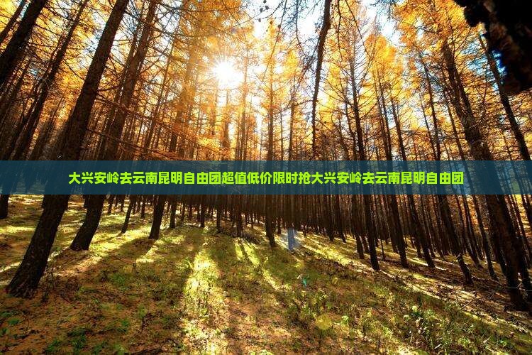 大兴安岭去云南昆明自由团