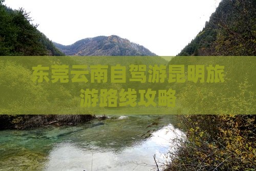 东莞去云南昆明自由行