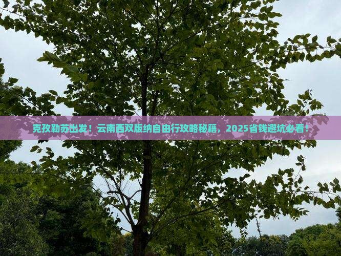 克孜勒苏去云南西双版纳自由团 克孜勒苏去云南西双版纳自由团