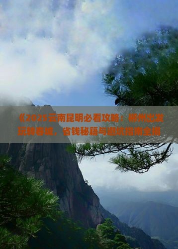郴州去云南昆明哪里玩