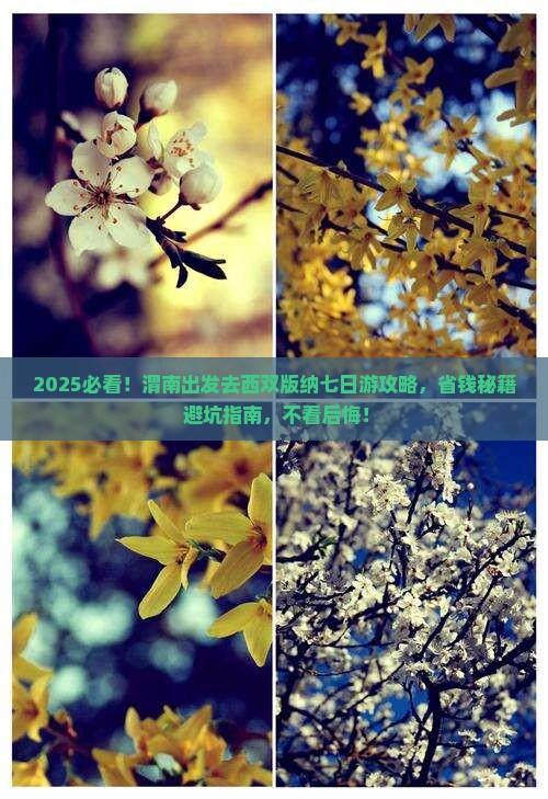 渭南去云南西双版纳七日游