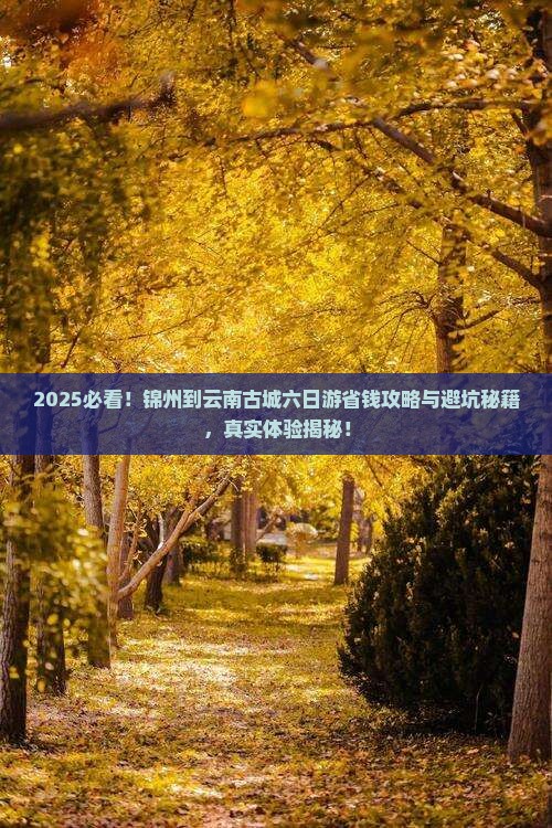 锦州到云南古城六日游 锦州到云南古城六日游