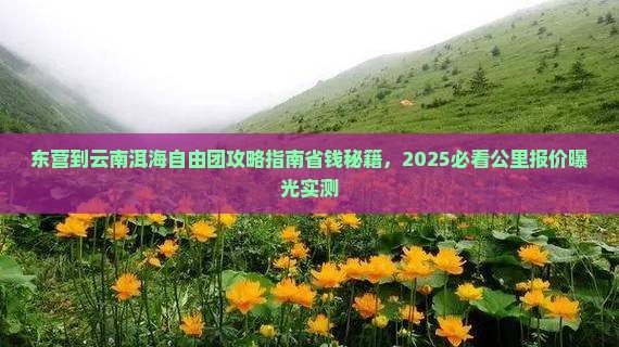 东营到云南洱海自由团