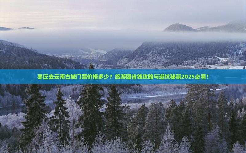 枣庄去云南古城门票