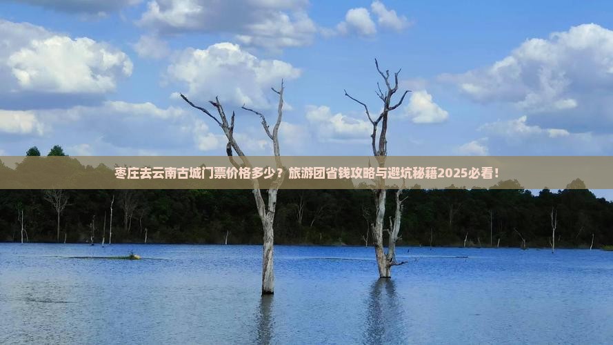 枣庄去云南古城门票