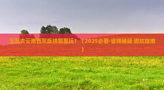 玉溪去云南西双版纳哪里玩