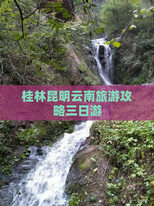 桂林去云南昆明三日游